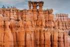 Bryce Canyon National Park, Utah, USA. Art Print